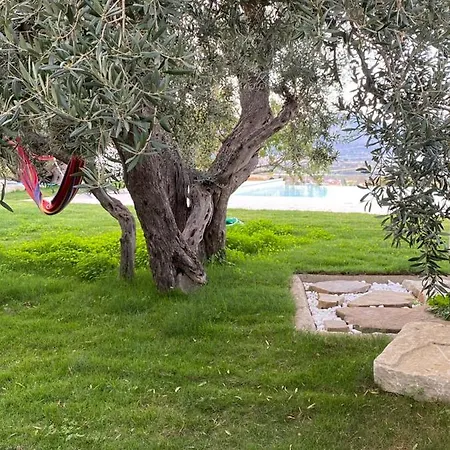 Guest house Casa Delle Sirene Nto Principe