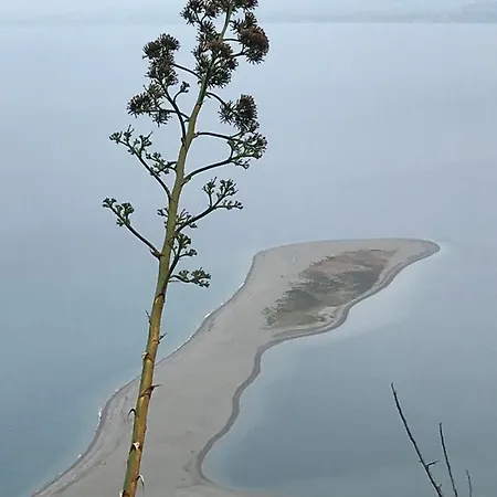 Casa Delle Sirene Nto Principe Penzion 4*